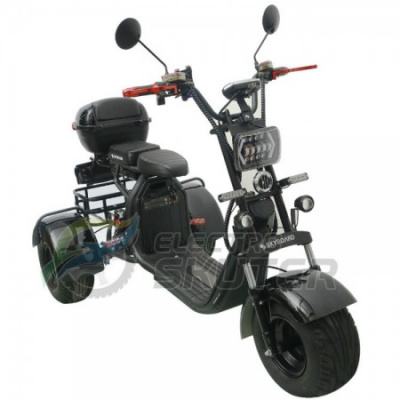 Трицикл Citycoco Skyboard Trike BR40 3000W PRO
