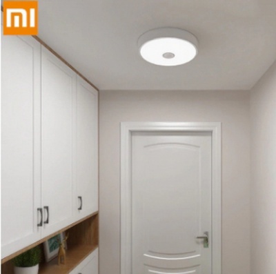 Потолочный светильник Xiaomi Yeelight (YLXD09YL) LED Ceiling Lamp 250 mm Mini Meteorite Induction